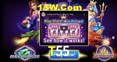 Login Seguro T55